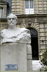Musee Pasteur Museum