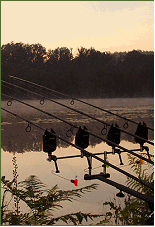 Fishing In France