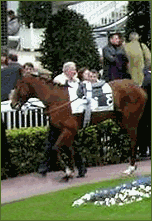 Dimanches au Galop in Paris