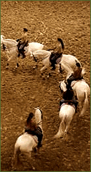Académie du Spectacle Equestre Shows Held at the Chateau de Versailles