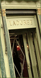 Laduree Tea Room In Paris