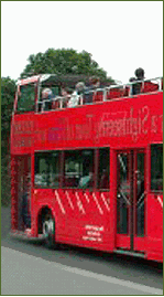 Les Car Rouges Buses In Paris