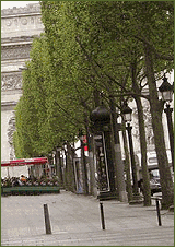 The Champs Elysees Avenue In Paris