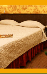 Hotel Clement